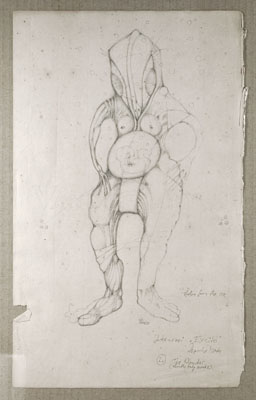 Zeichnung 'The Wonder', 2002